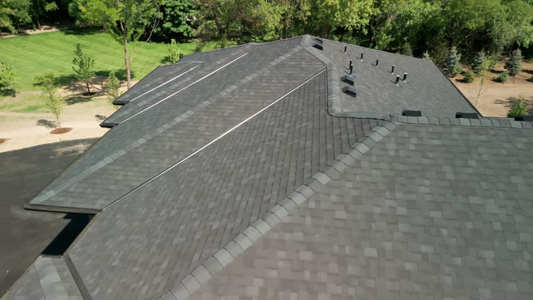 Best Asphalt Shingle Roofing  in Darien, IL